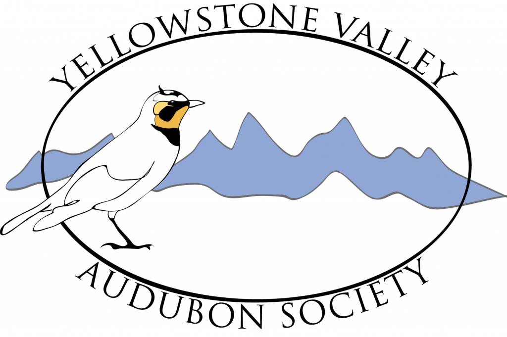 Yellowstone Valley Audubon Society